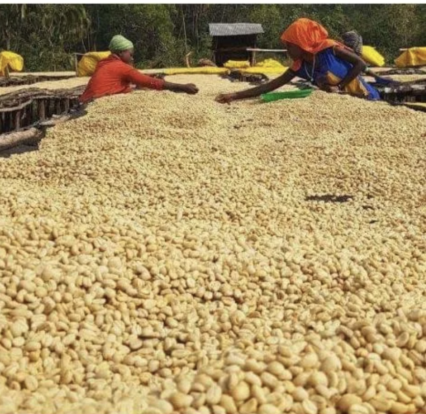Ethiopia Sidamo